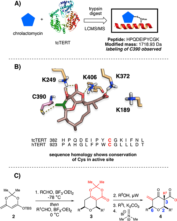 Fig. 2: