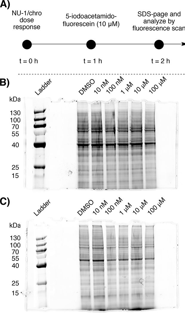 Fig. 6: