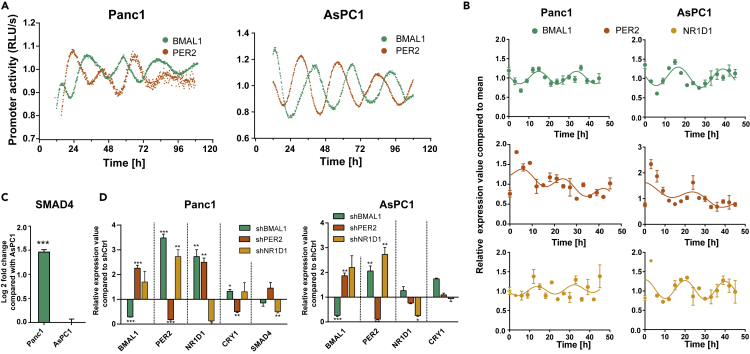 Figure 1