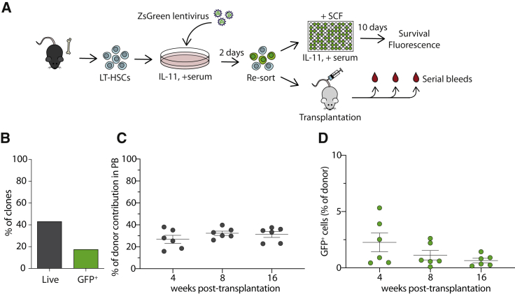 Figure 4