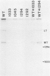 802