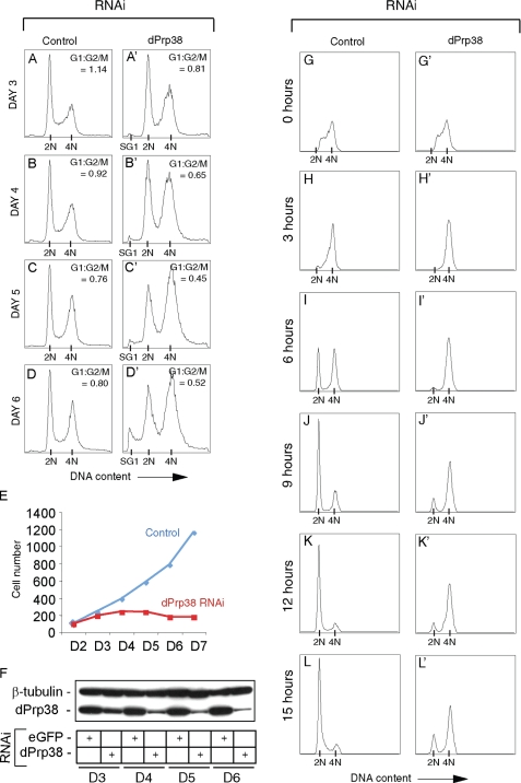 FIGURE 2.