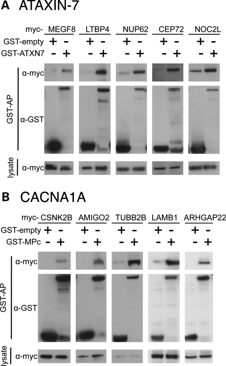 Figure 2.