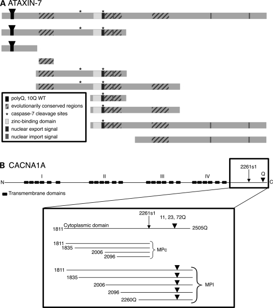 Figure 1.