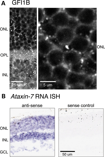 Figure 6.