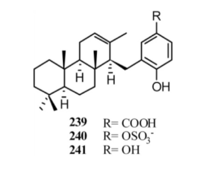 Figure 19