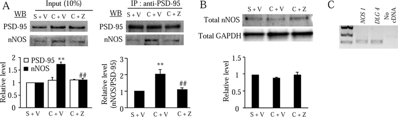 Fig. 8.