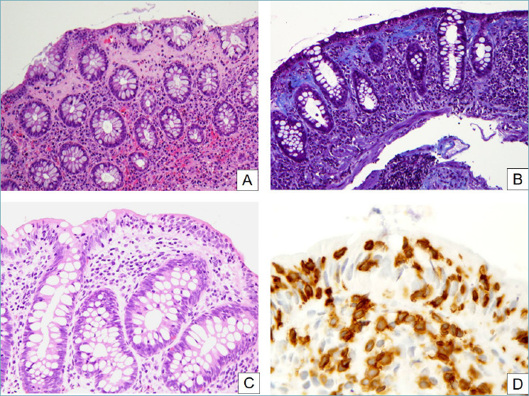 Figure 5.