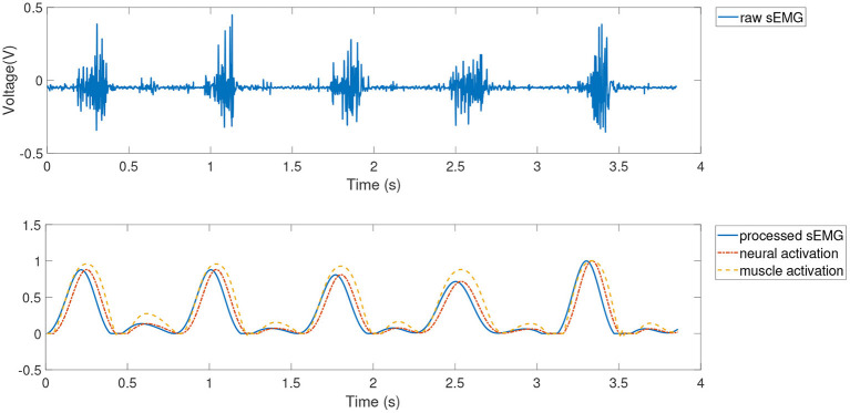 Figure 5