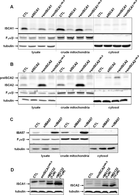 FIGURE 3: