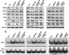 FIGURE 6: