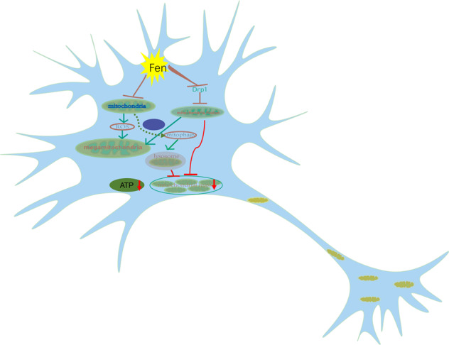 Fig. 6