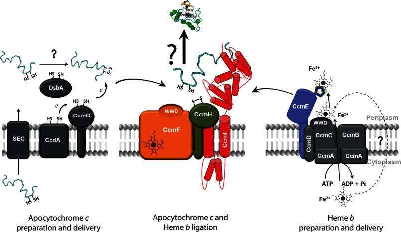 FIGURE 1.