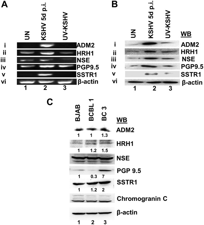 FIG 2