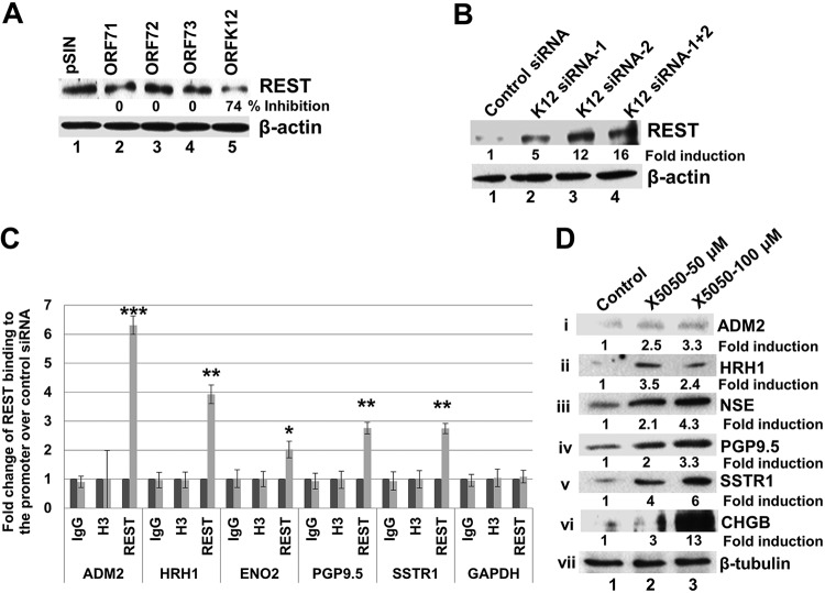 FIG 6