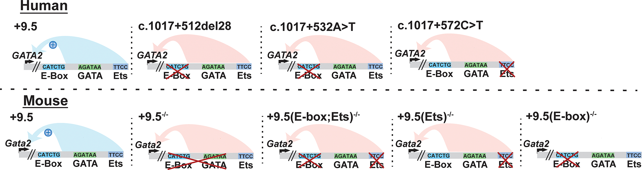 Figure 2: