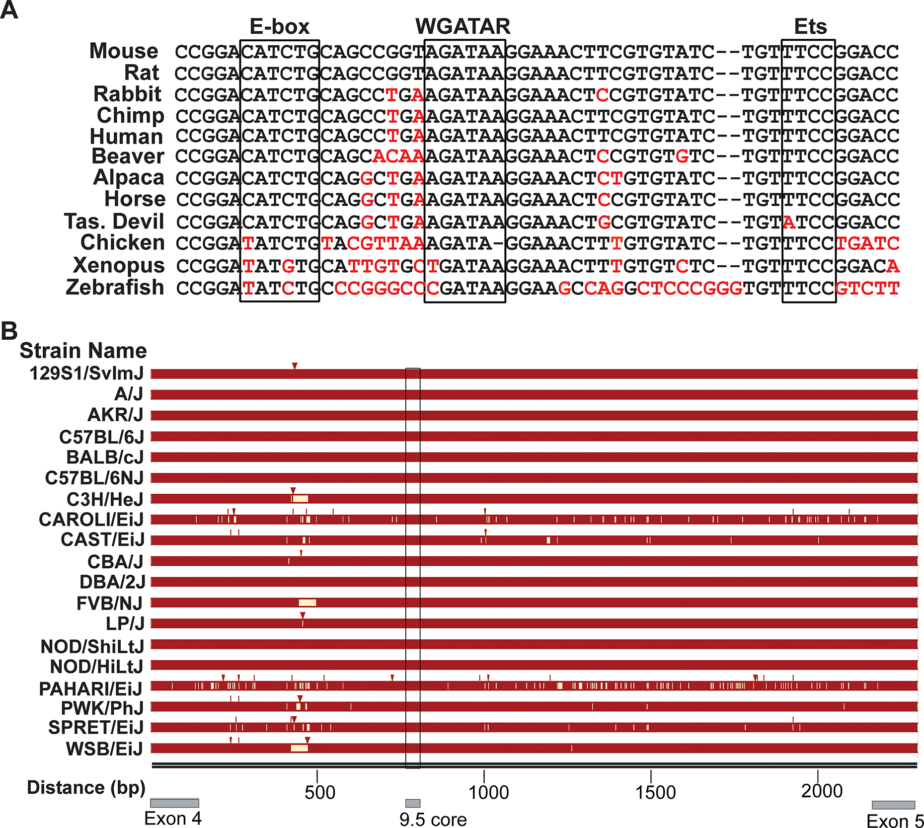 Figure 1: