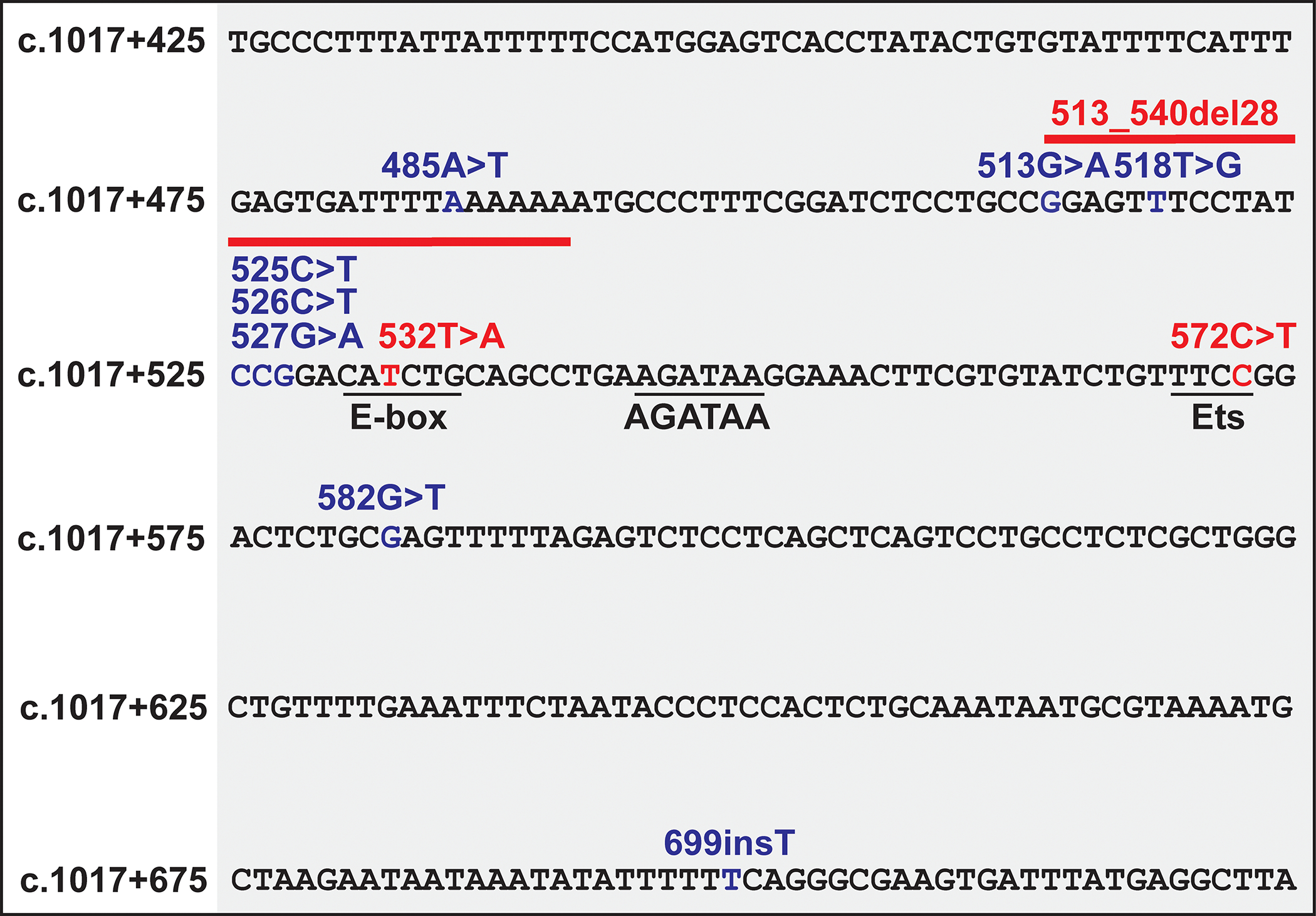 Figure 3: