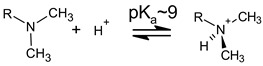 graphic file with name nanomaterials-13-02311-i001.jpg
