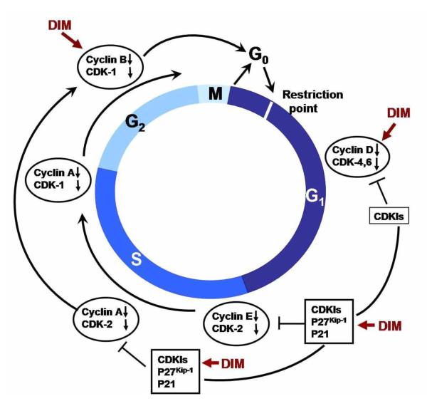 Figure - 3