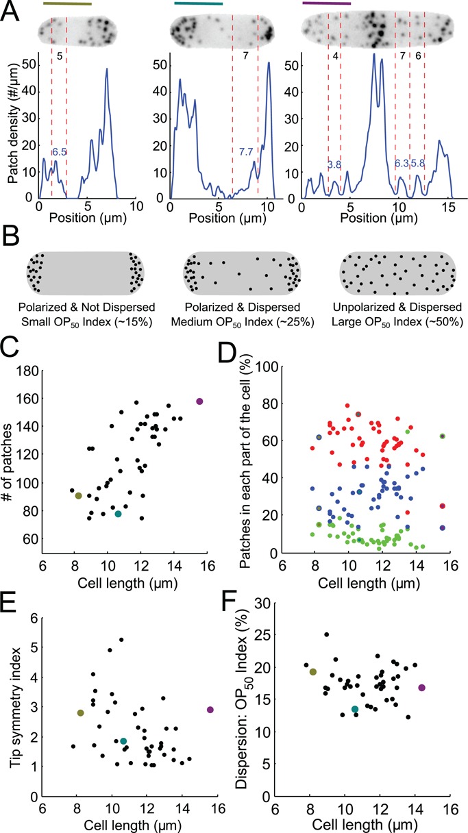 FIGURE 7: