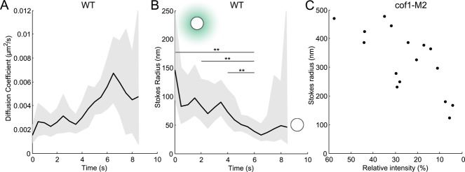 FIGURE 5: