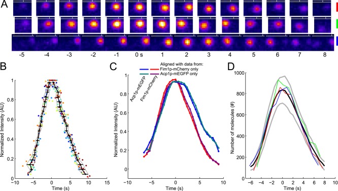 FIGURE 3: