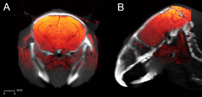 Figure 3.