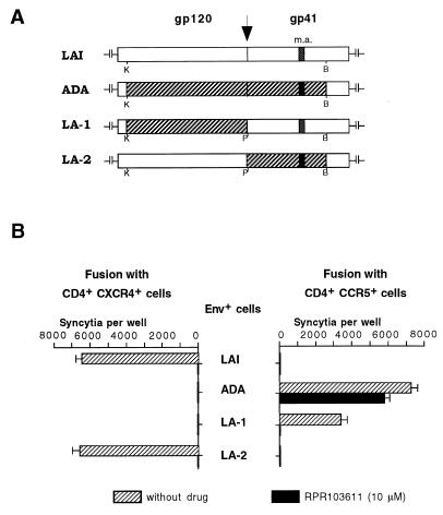 FIG. 5