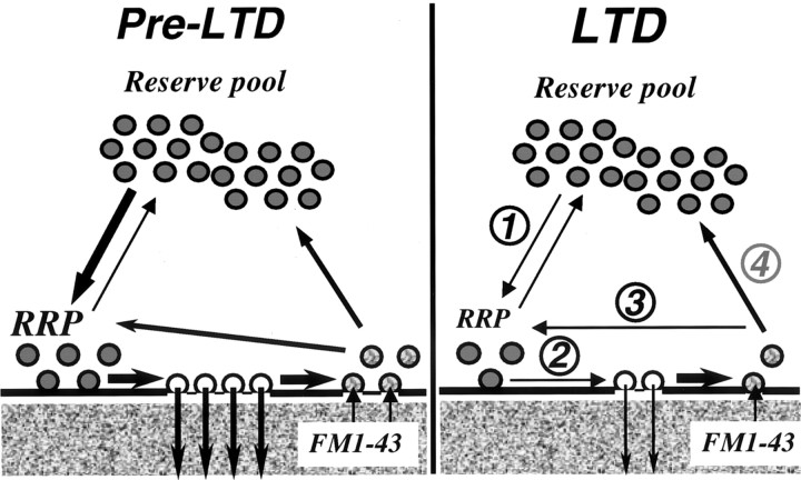 Figure 11.