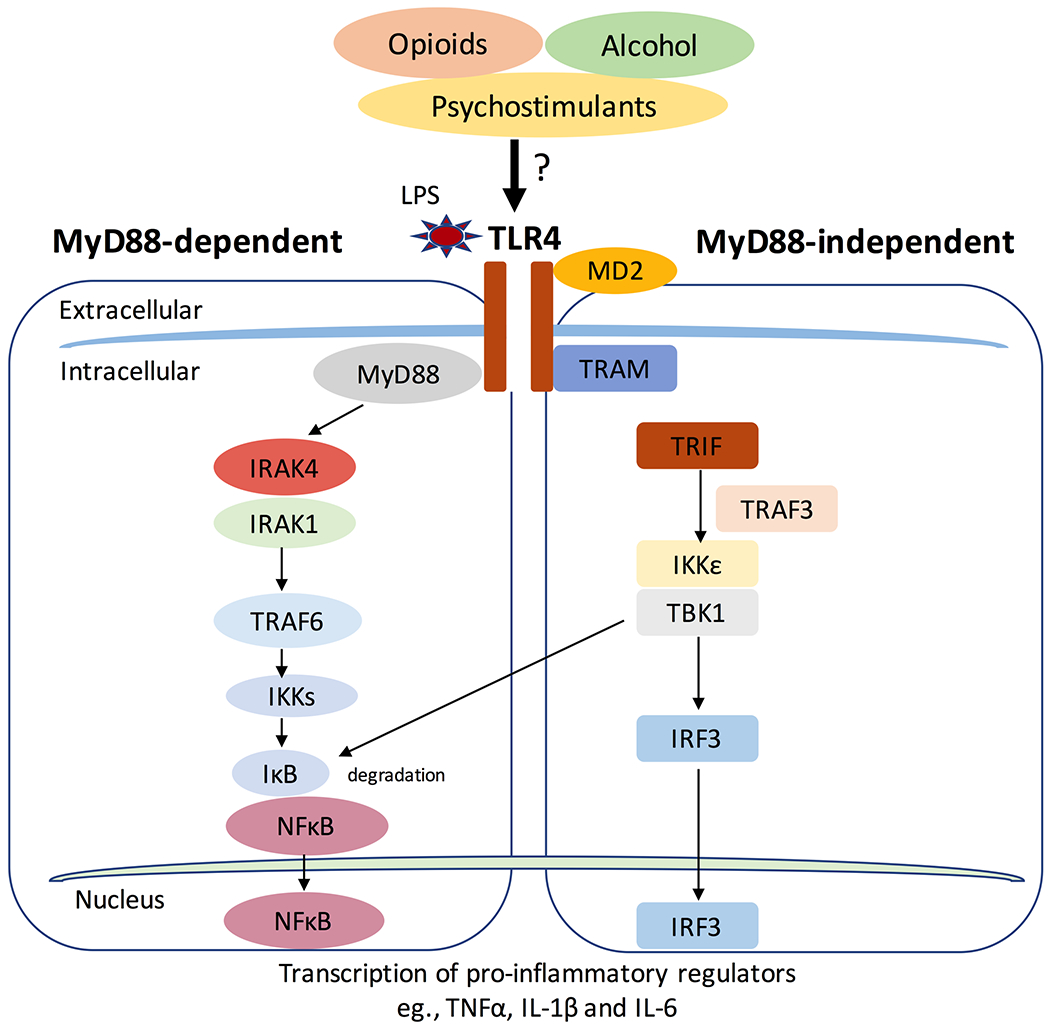 Figure 1: