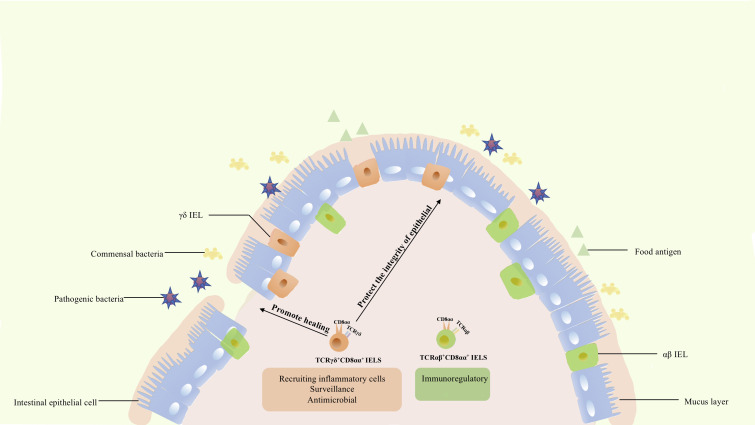 Figure 3