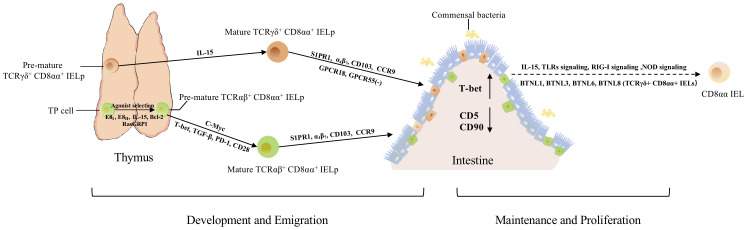 Figure 2