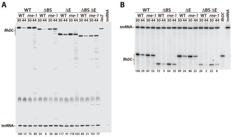 Fig. 9