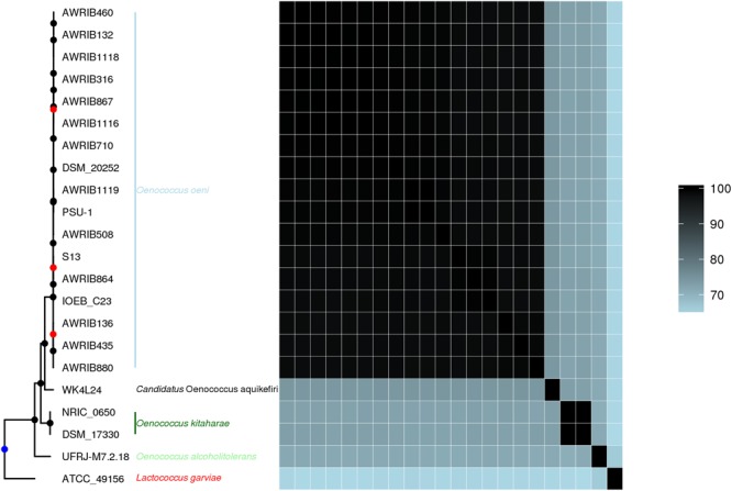 FIGURE 5