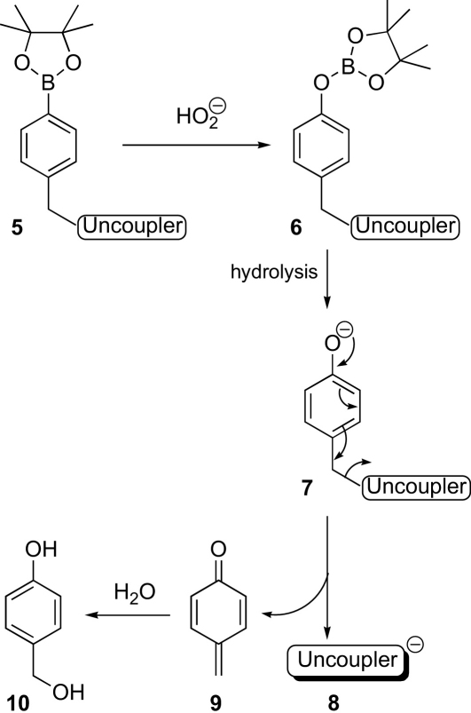 Scheme 2