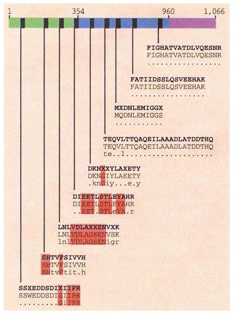 graphic file with name nihms332350f1.jpg