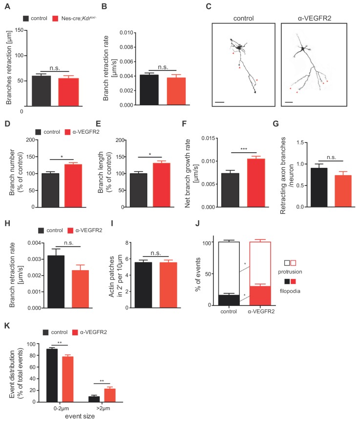 Figure 6—figure supplement 1.