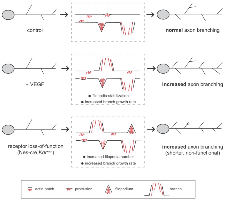 Figure 7.