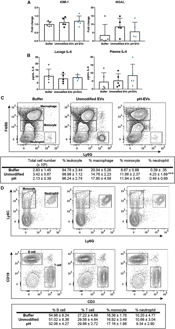 Figure 5