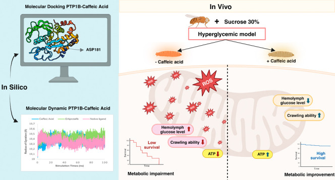 graphic file with name ao4c11062_0011.jpg