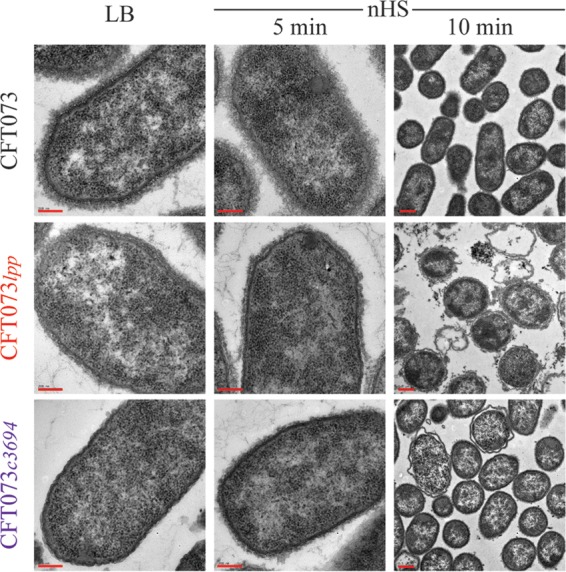 FIG 3 