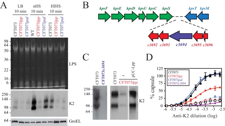 FIG 2 