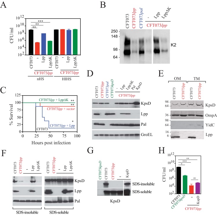 FIG 4 