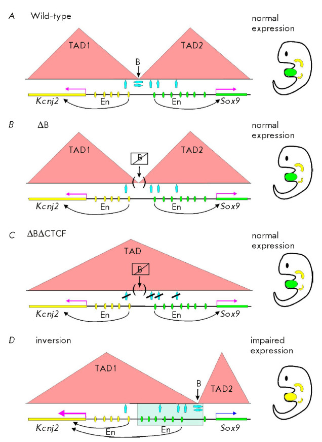 Fig. 10