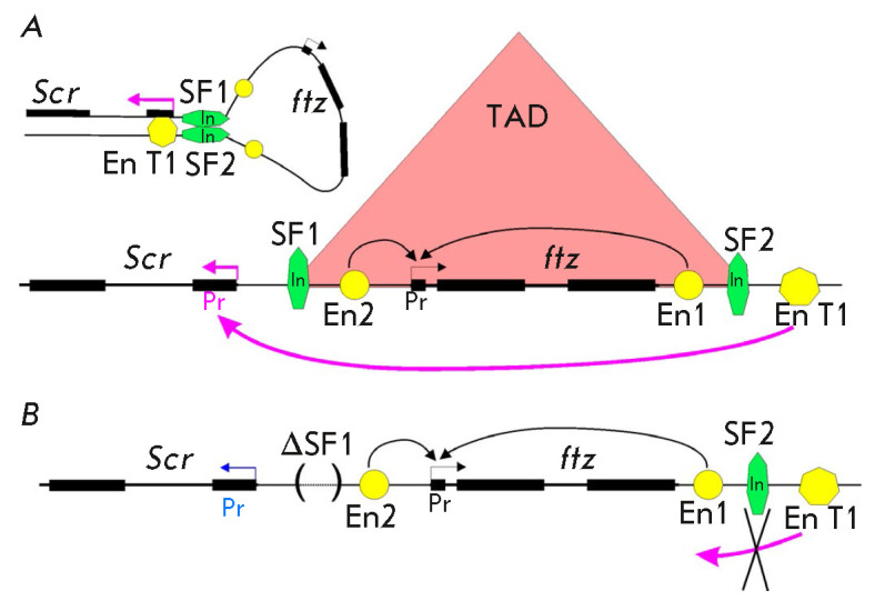 Fig. 9