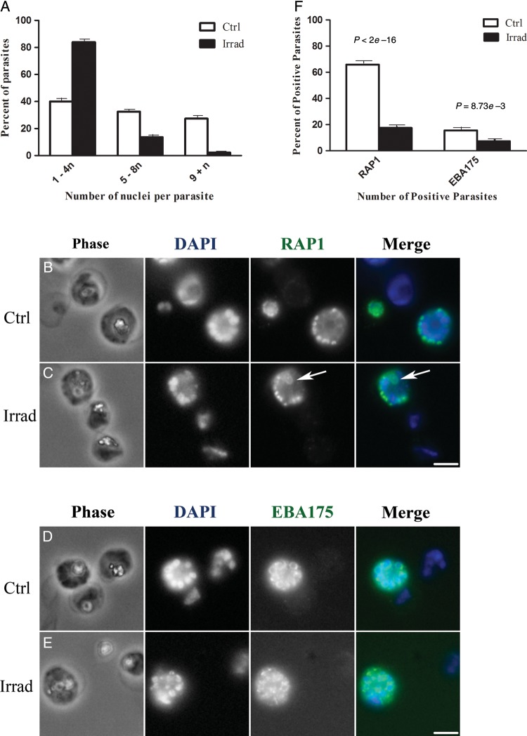 Figure 2.