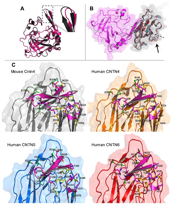 Fig. 6.