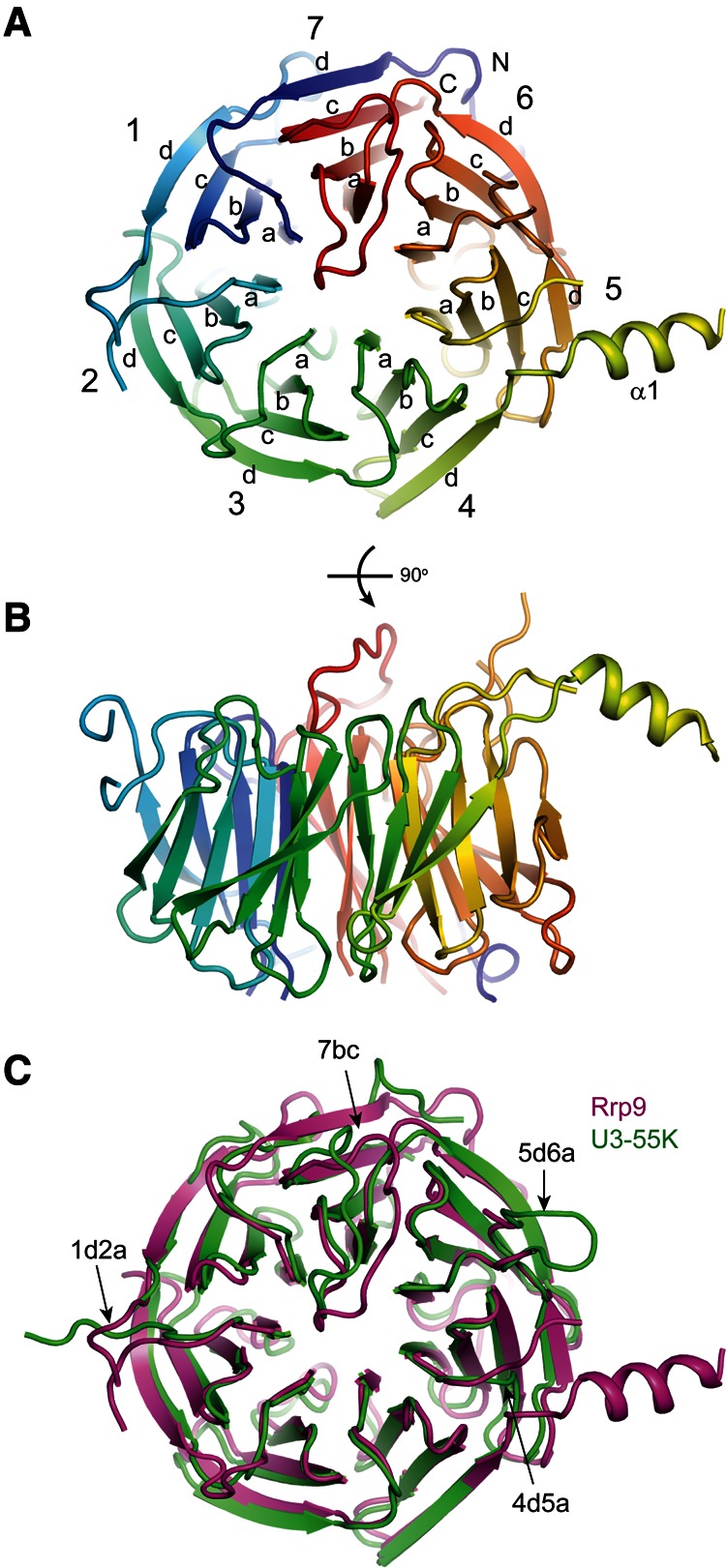 FIGURE 2.