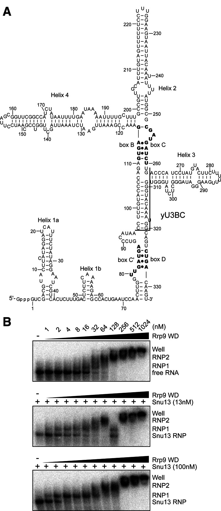 FIGURE 3.